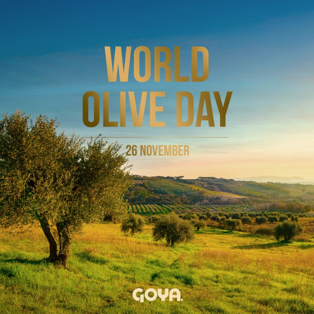 Celebrating our origin, “World Olive Day” Goya Olive Oils