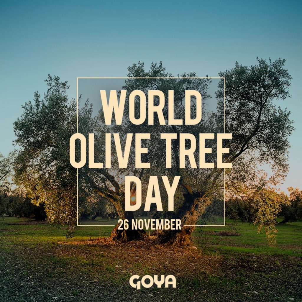 Dia Mundial del Olivo | Día Mundial del Olivo