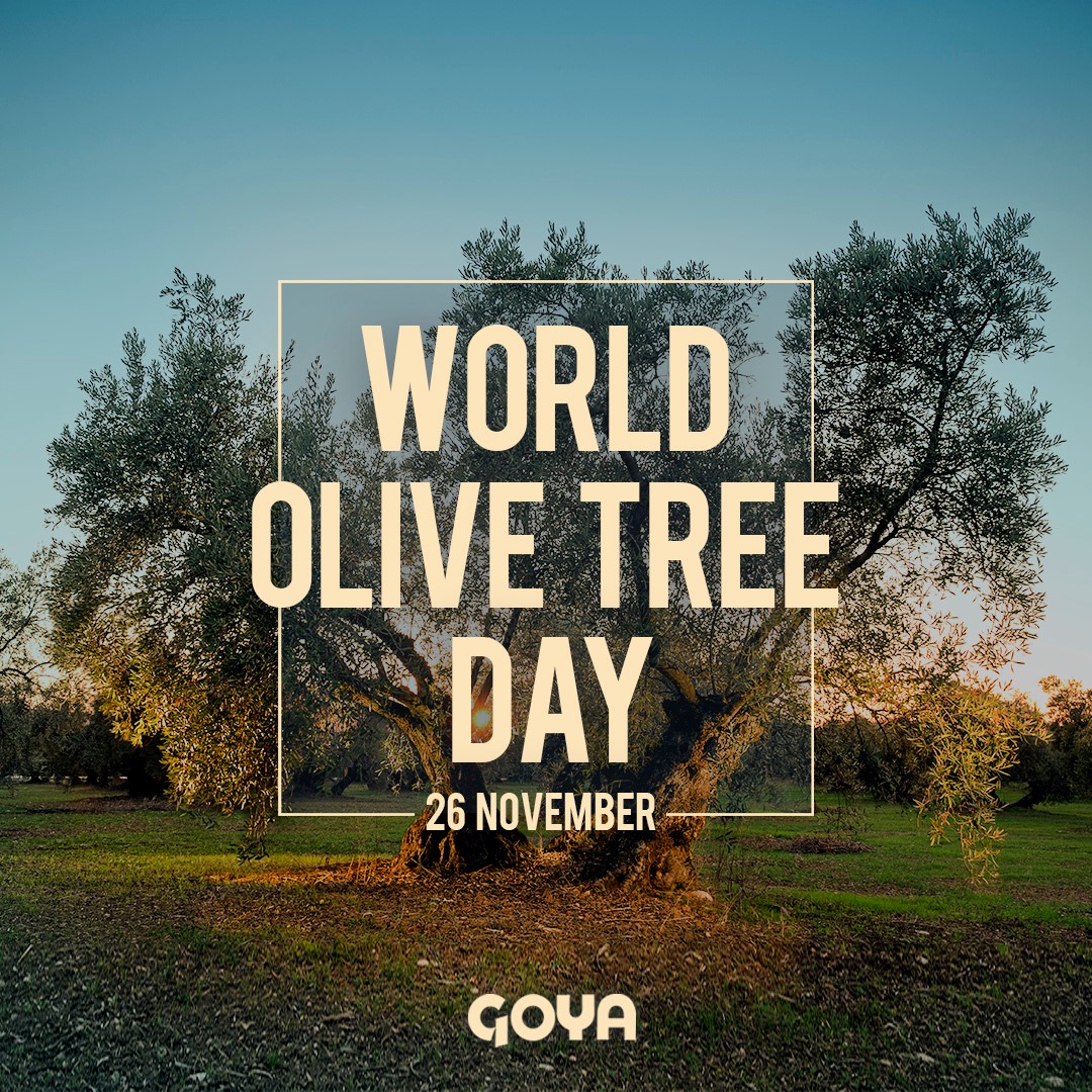 Dia Mundial del Olivo | Día Mundial del Olivo