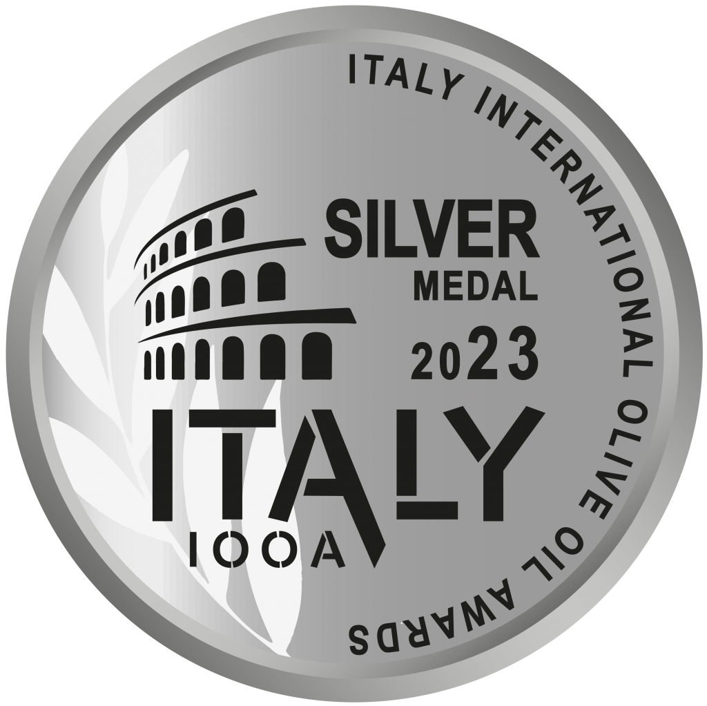 SILVER-MEDAL-2023---PNG