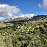 olivares_2