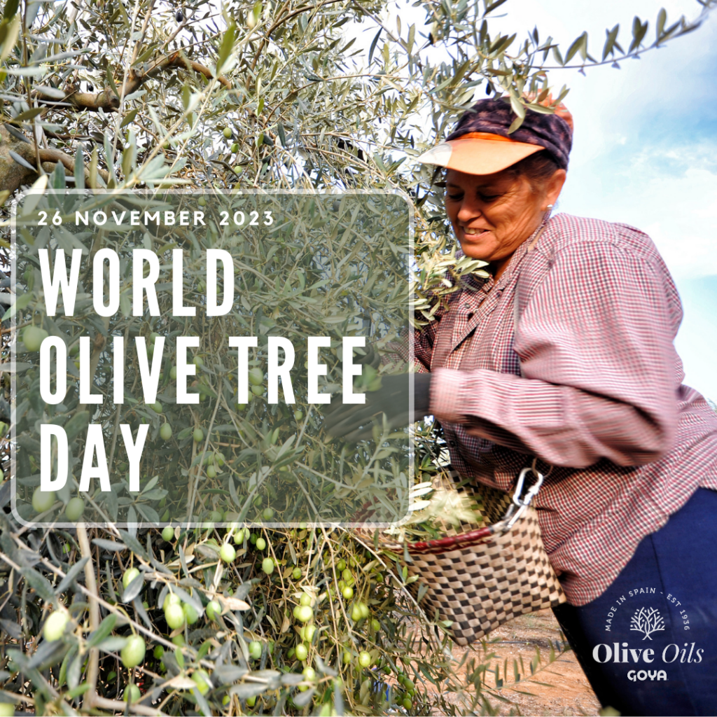 Día Mundial del Olivo | World Olive Tree Day
