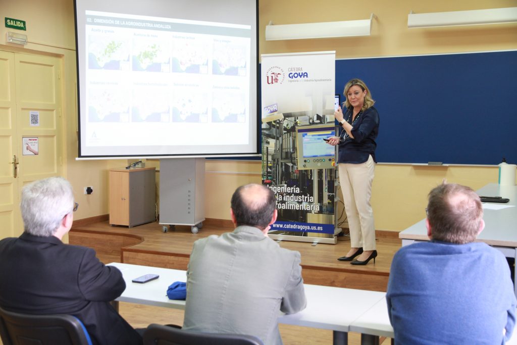 Ponencia Carmen Cristina de Toro