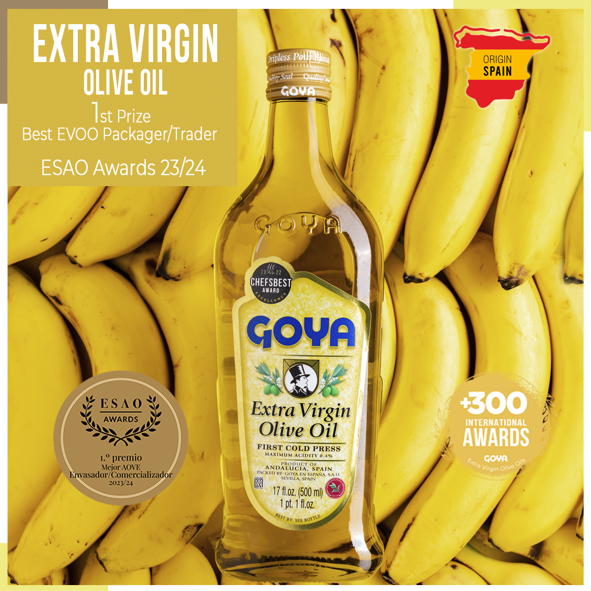 Goya-evoo-esao-awards