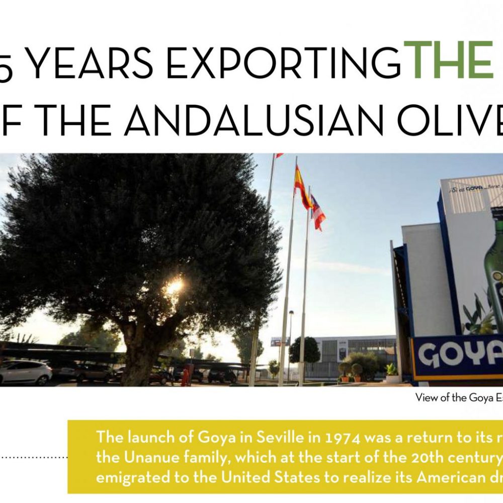 abc-goya-olive-oils