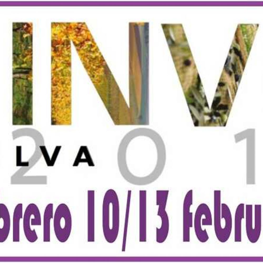 cinve