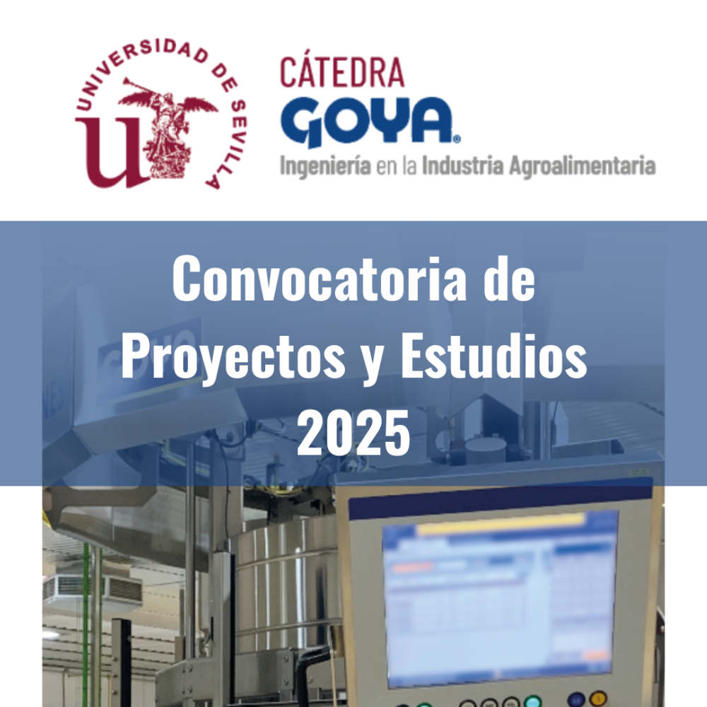 Convocatoria Catedra Goya