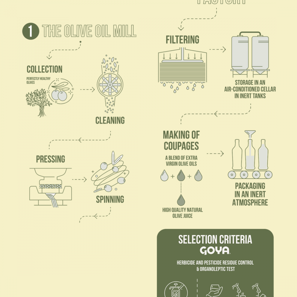 olive oil production