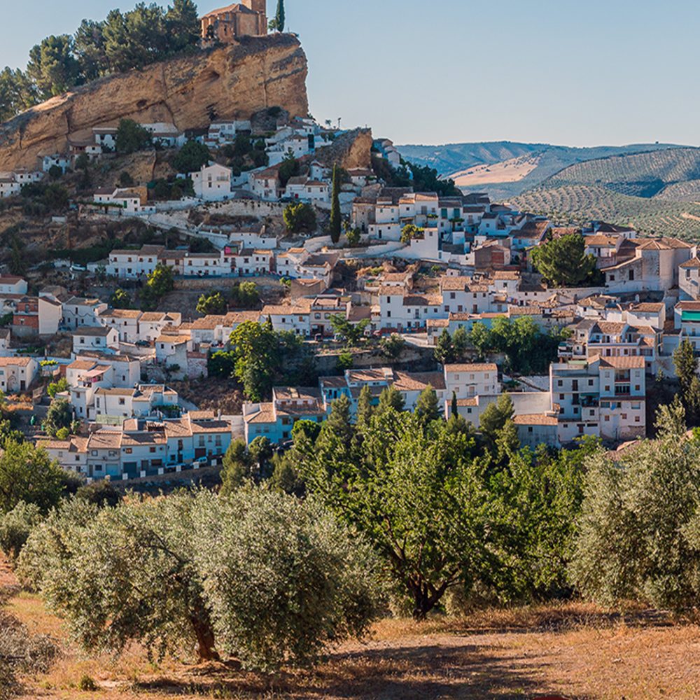 origin olive oil tourism