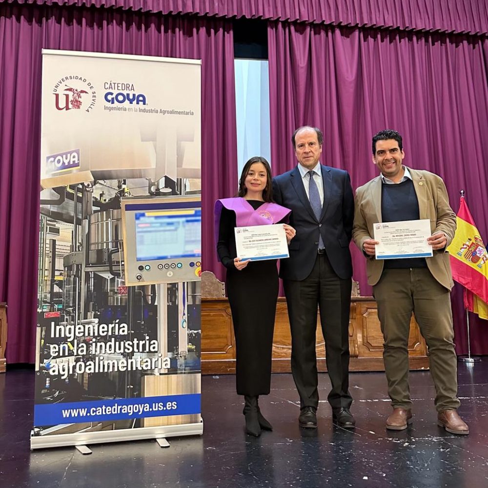Premiados Cátedra Goya | Awarded Goya Chair
